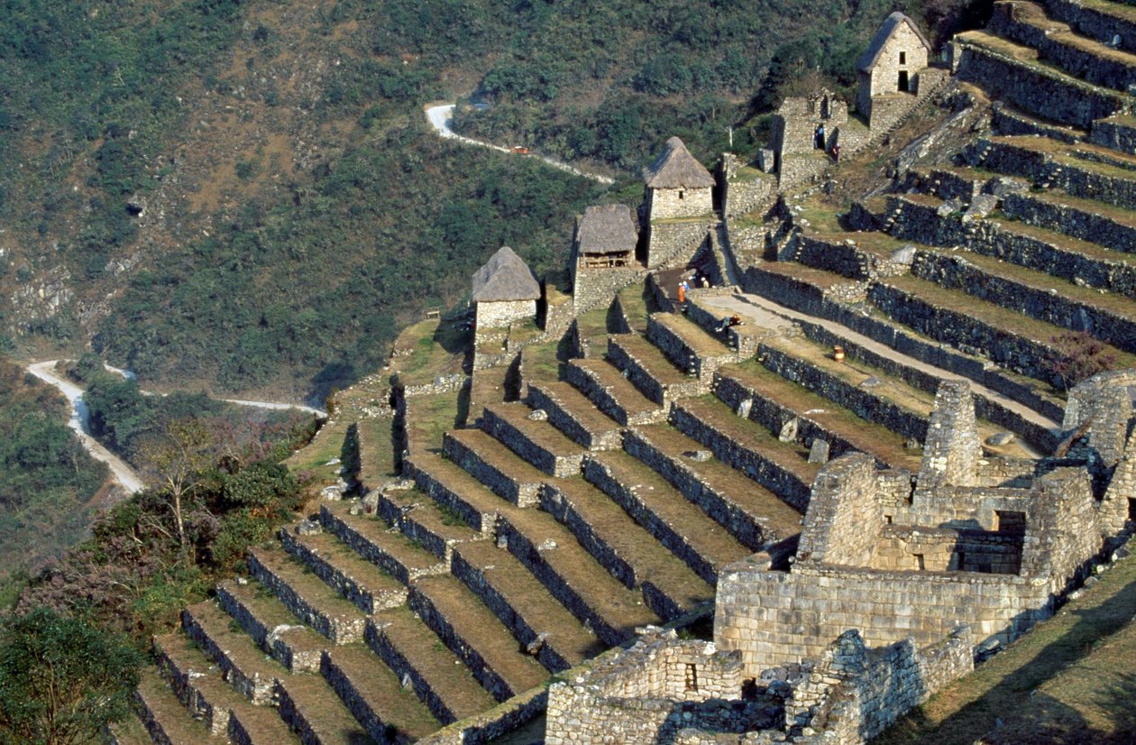 Terrasses, Machu Picchu (Liste du patrimoine mondial de l