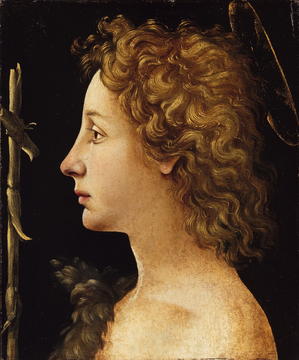 Le jeune Saint Jean-Baptiste - Piero di Cosimo