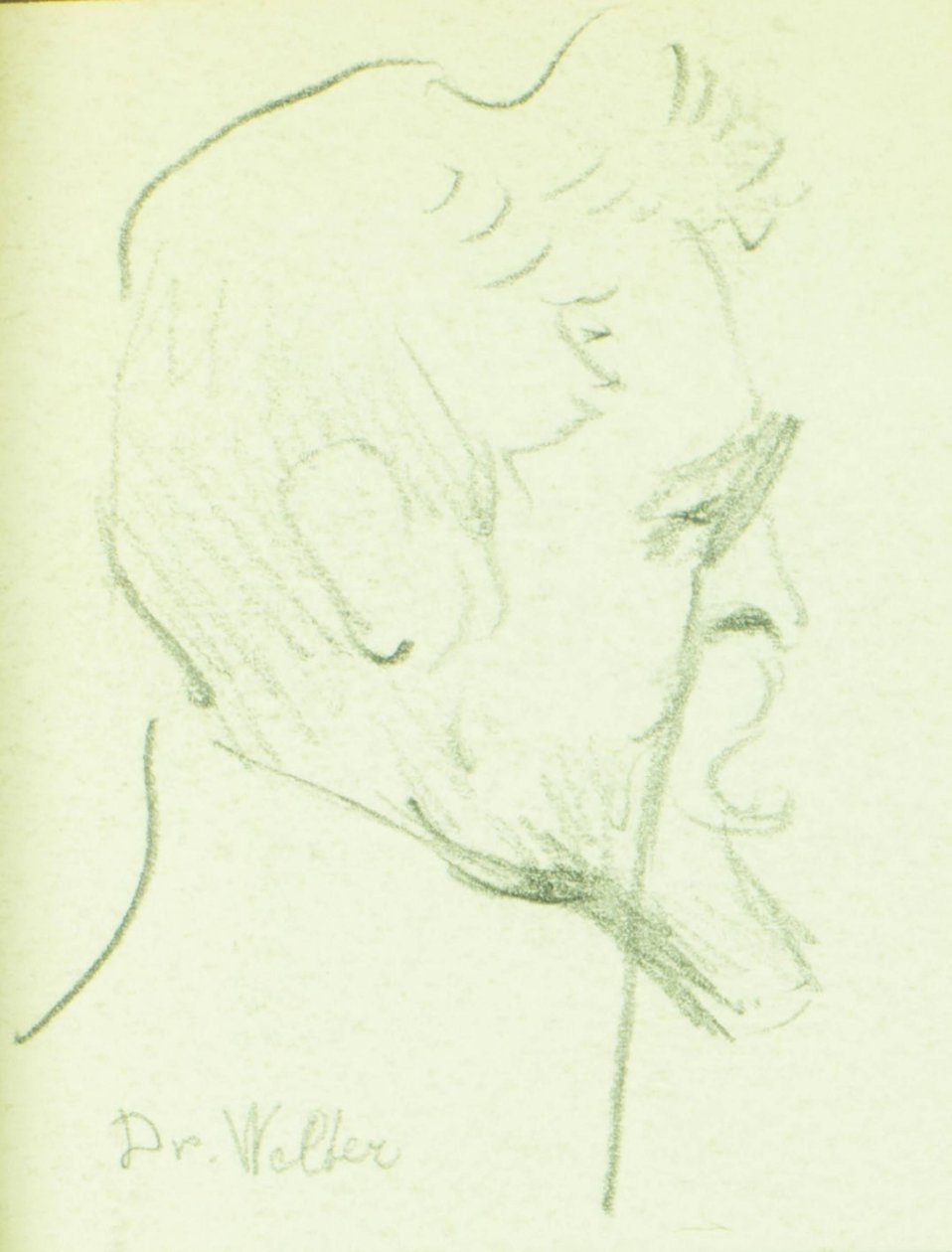 Dr Welter - Pierre Blanc