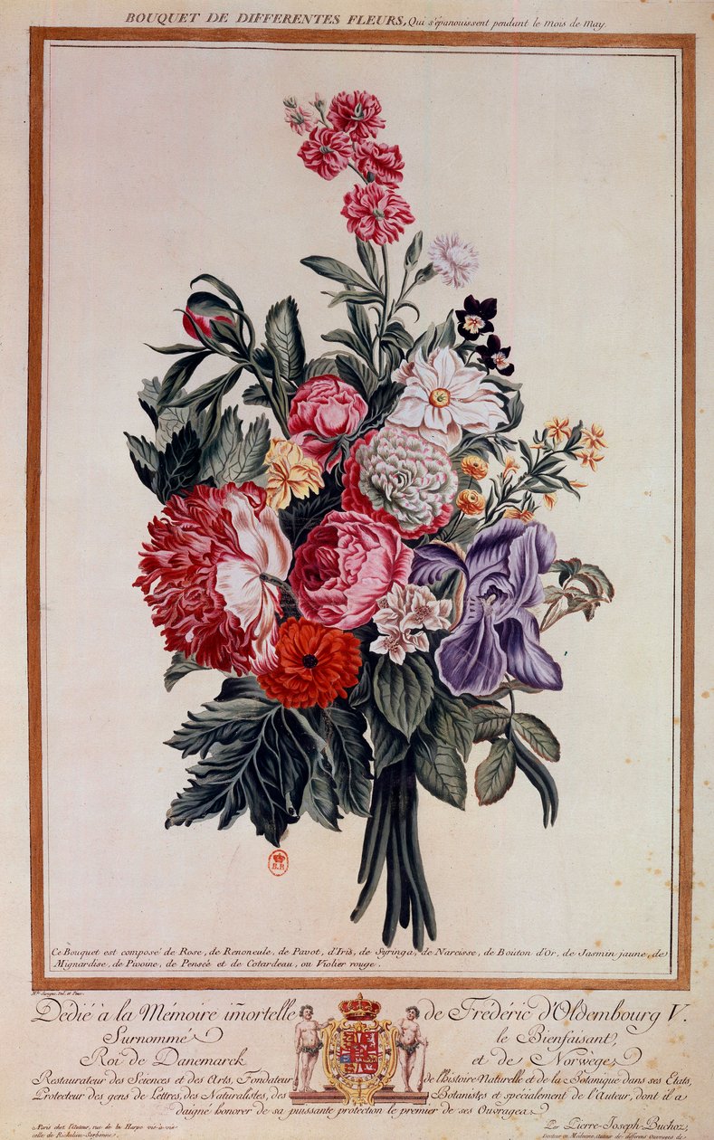 Bouquet de fleurs mélangé Lithographie par Pierre Joseph - Pierre Joseph Buchoz