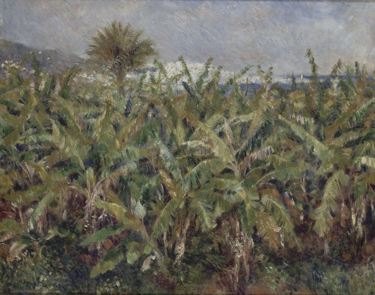 Champ de bananiers, 1881 - Pierre Auguste Renoir