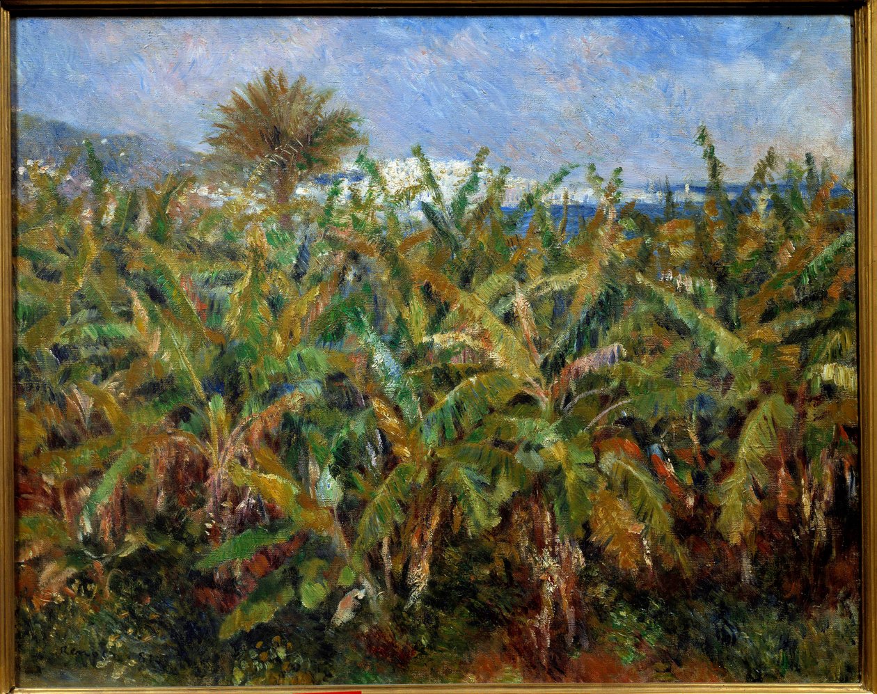 Un champ de bananiers - Pierre Auguste Renoir