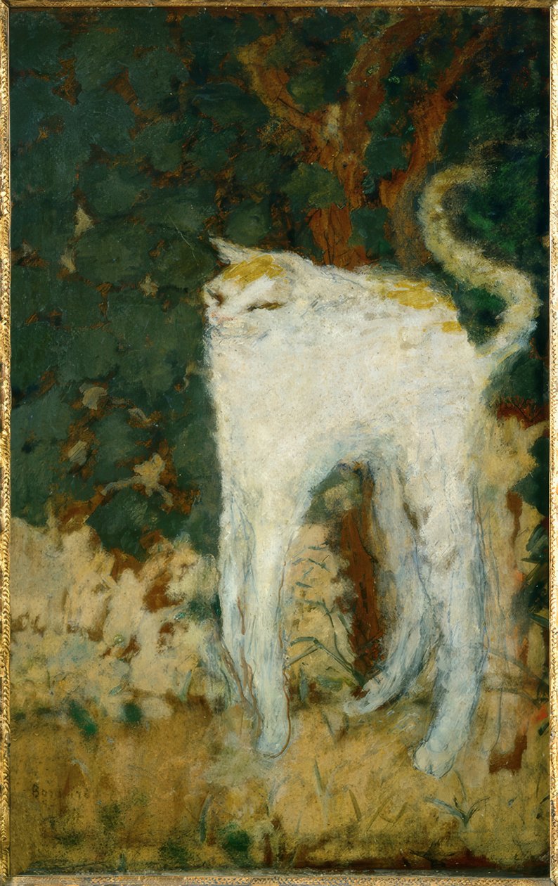 Le chat blanc - Pierre Bonnard