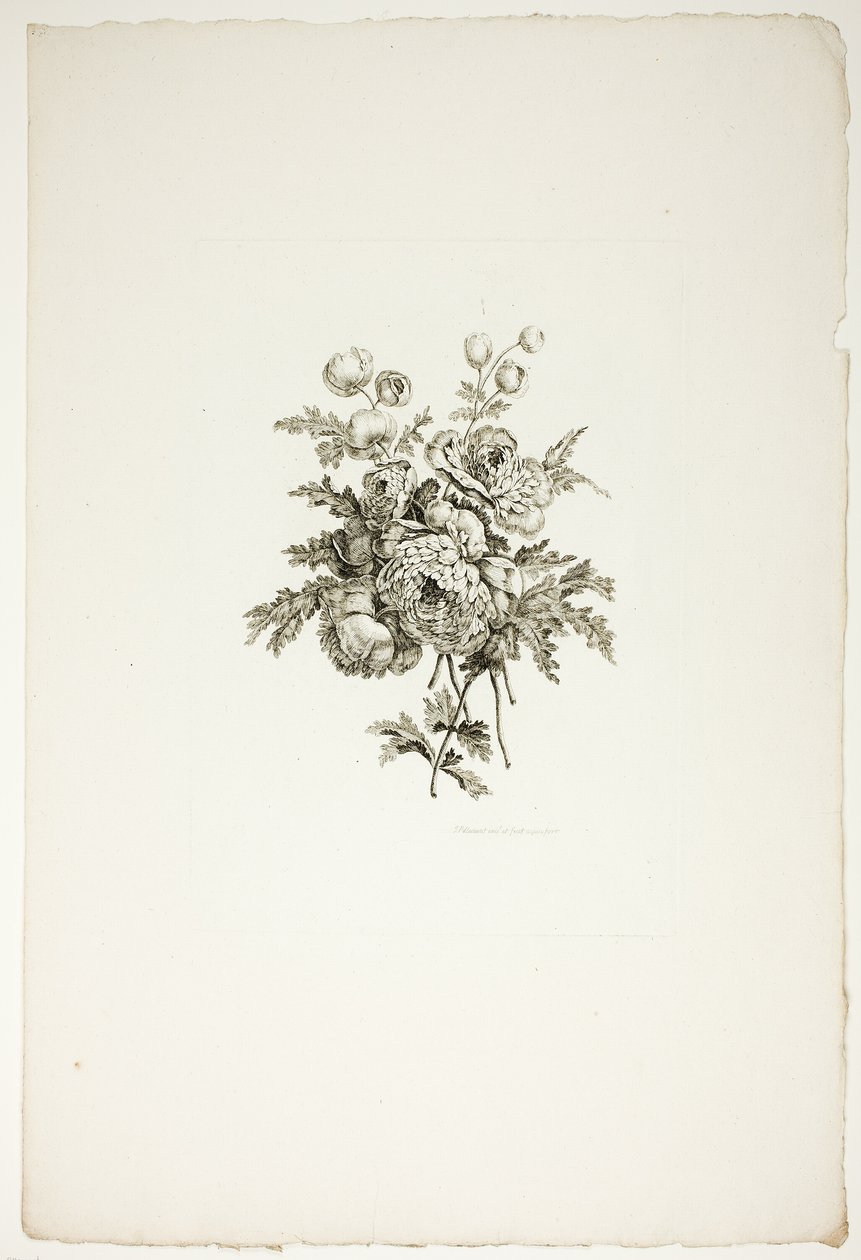 Bouquet avec pivoines, d