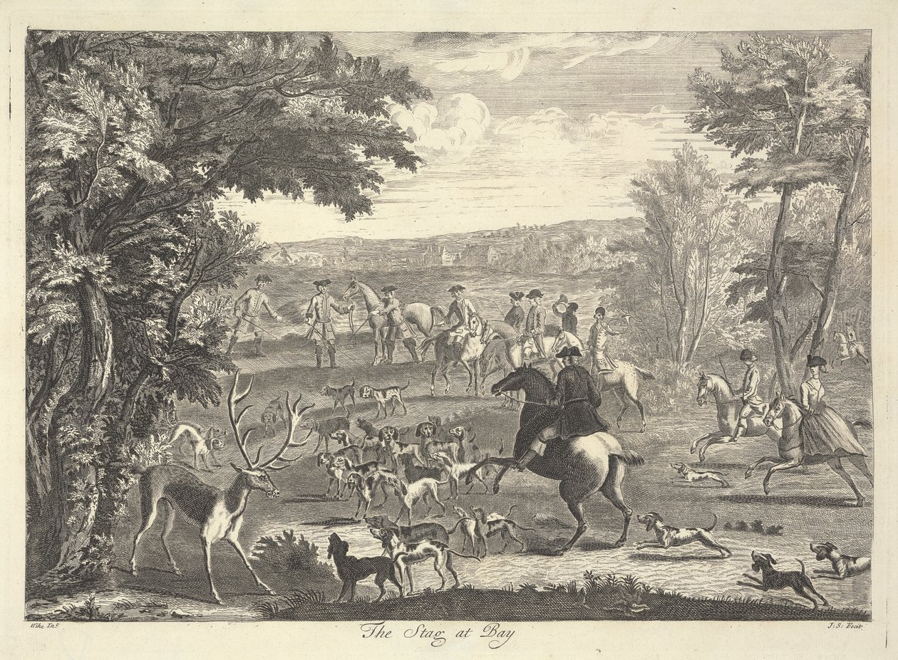 Le cerf au piège - Pierre Charles Canot