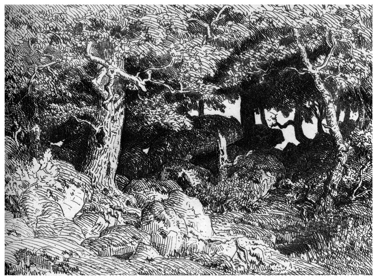 Les Chênes de Roche, vers 1832-1860, 1924 - Pierre Etienne Theodore Rousseau