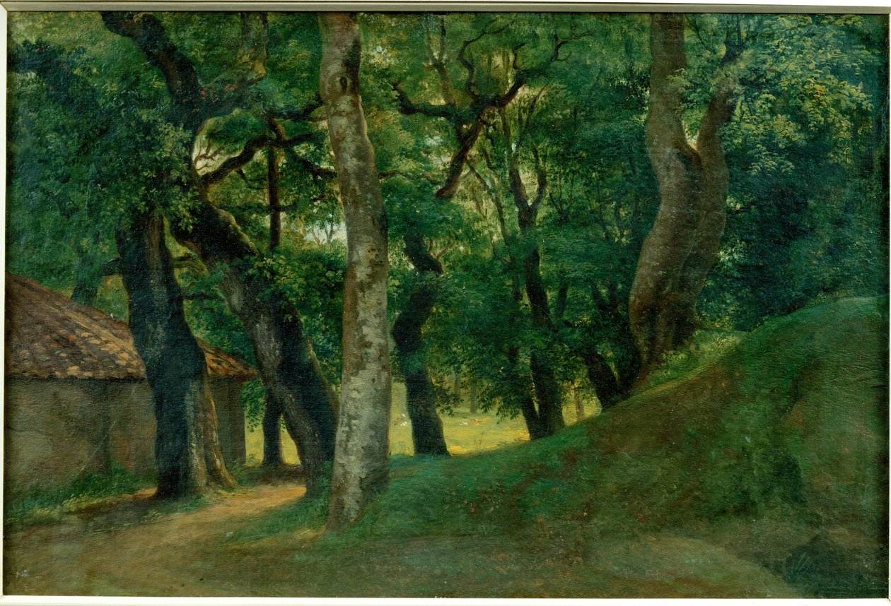 Foret de la Villa Borghese - Forest of the Villa Borghese ... - Pierre Henri de Valenciennes