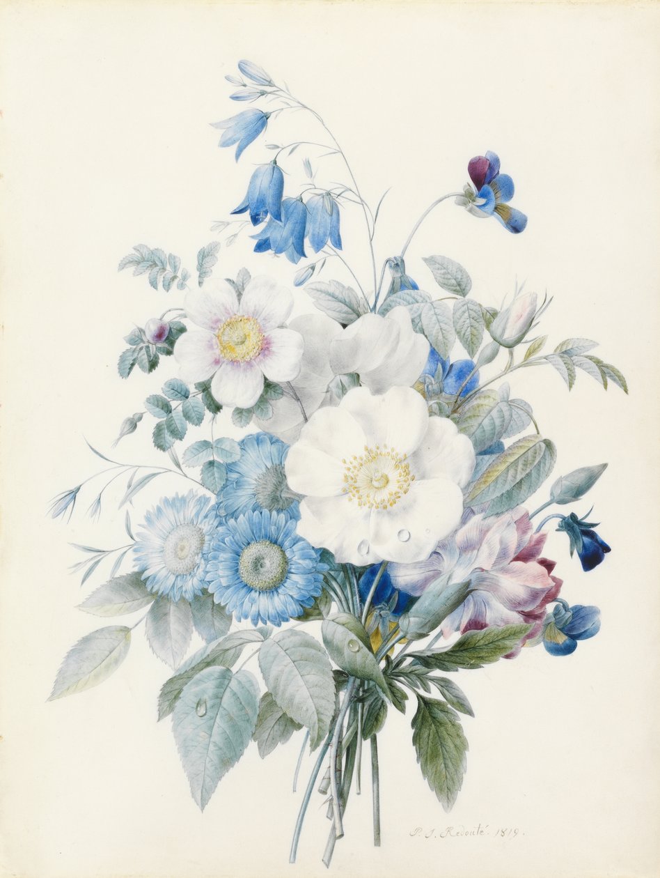 Asters bleus, rosa spinosissima (hybride), campanule, violettes, œillet et une rose sauvage - Pierre Joseph Redouté