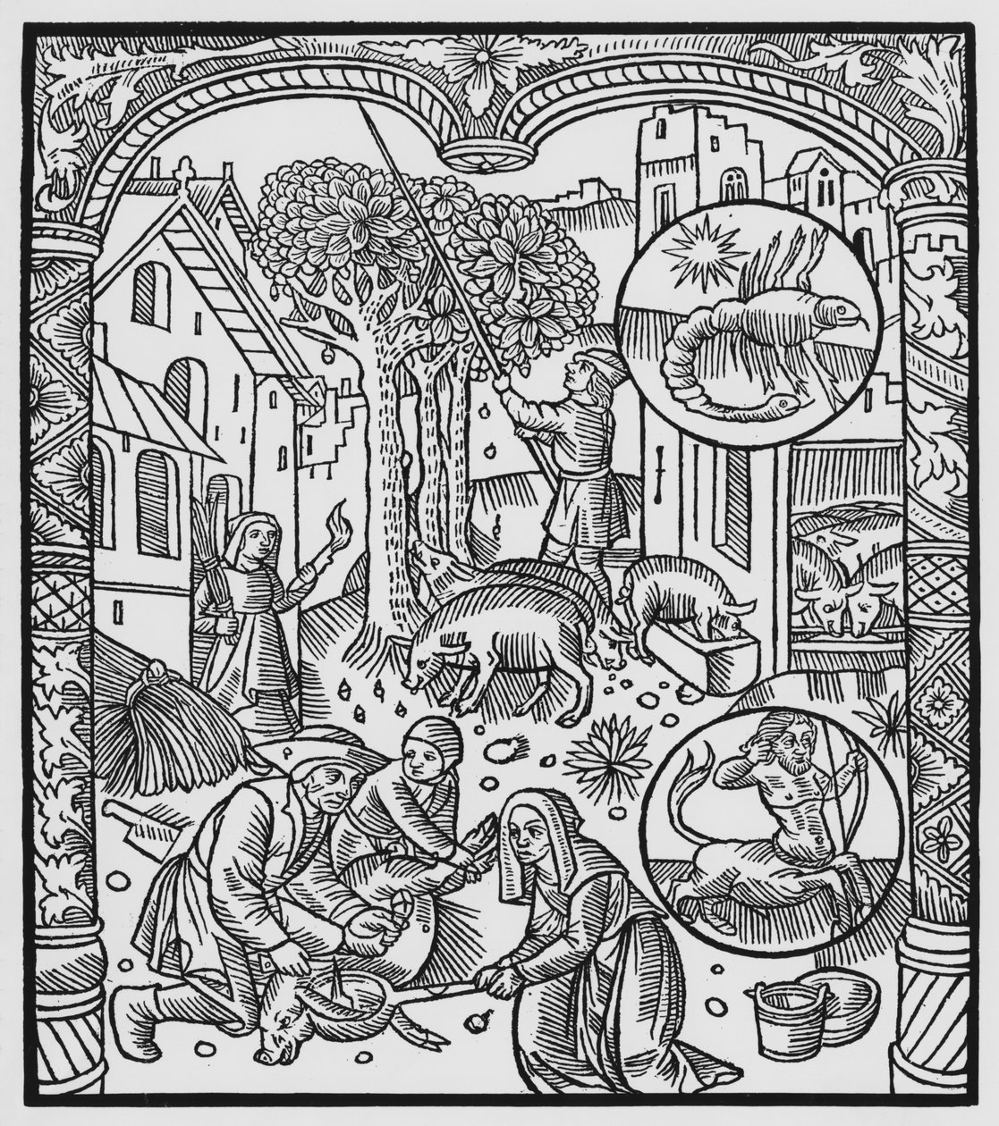 Novembre, tuer le cochon et récolter des glands, Scorpion, illustration de l