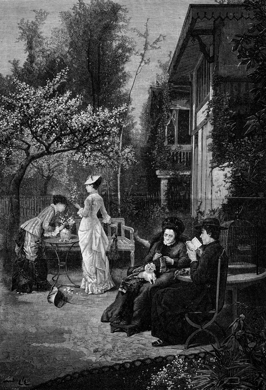 Fleurs de pêcher (19ème siècle). Gravure d