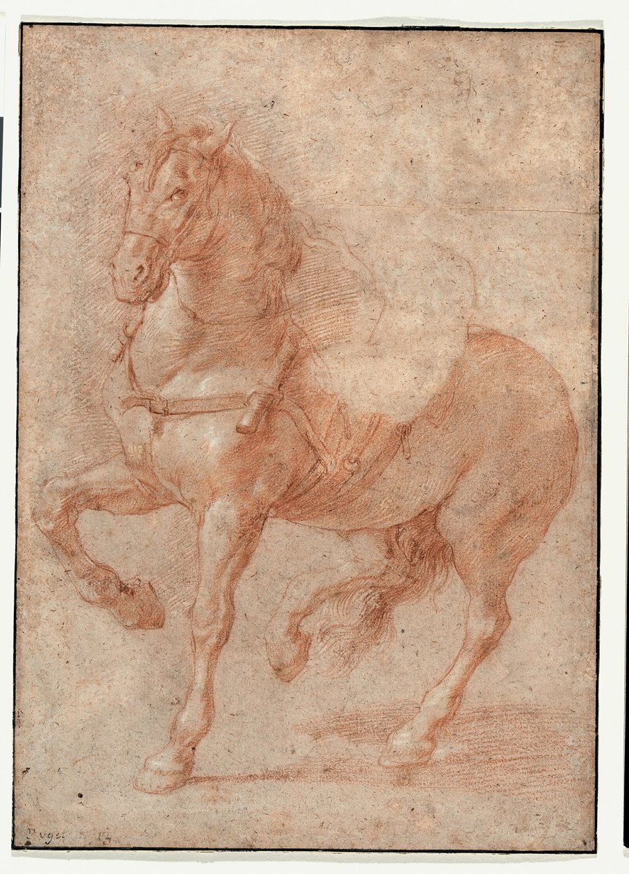 Étude de Bucéphale pour le relief "Alexandre et Diogène". - Pierre Puget