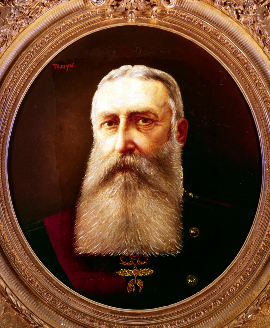 Léopold II, roi des Belges - Pierre Tossyn