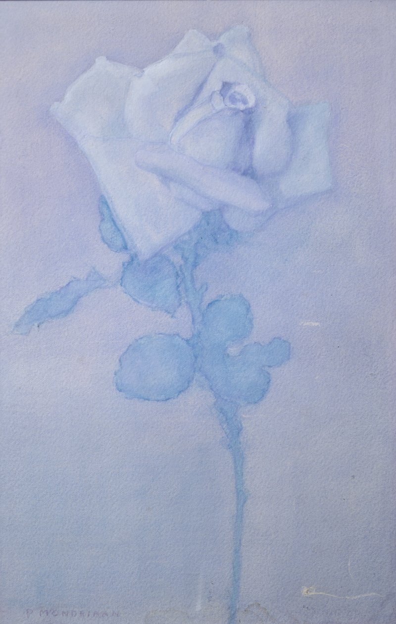 Rose blanche - Piet Mondrian
