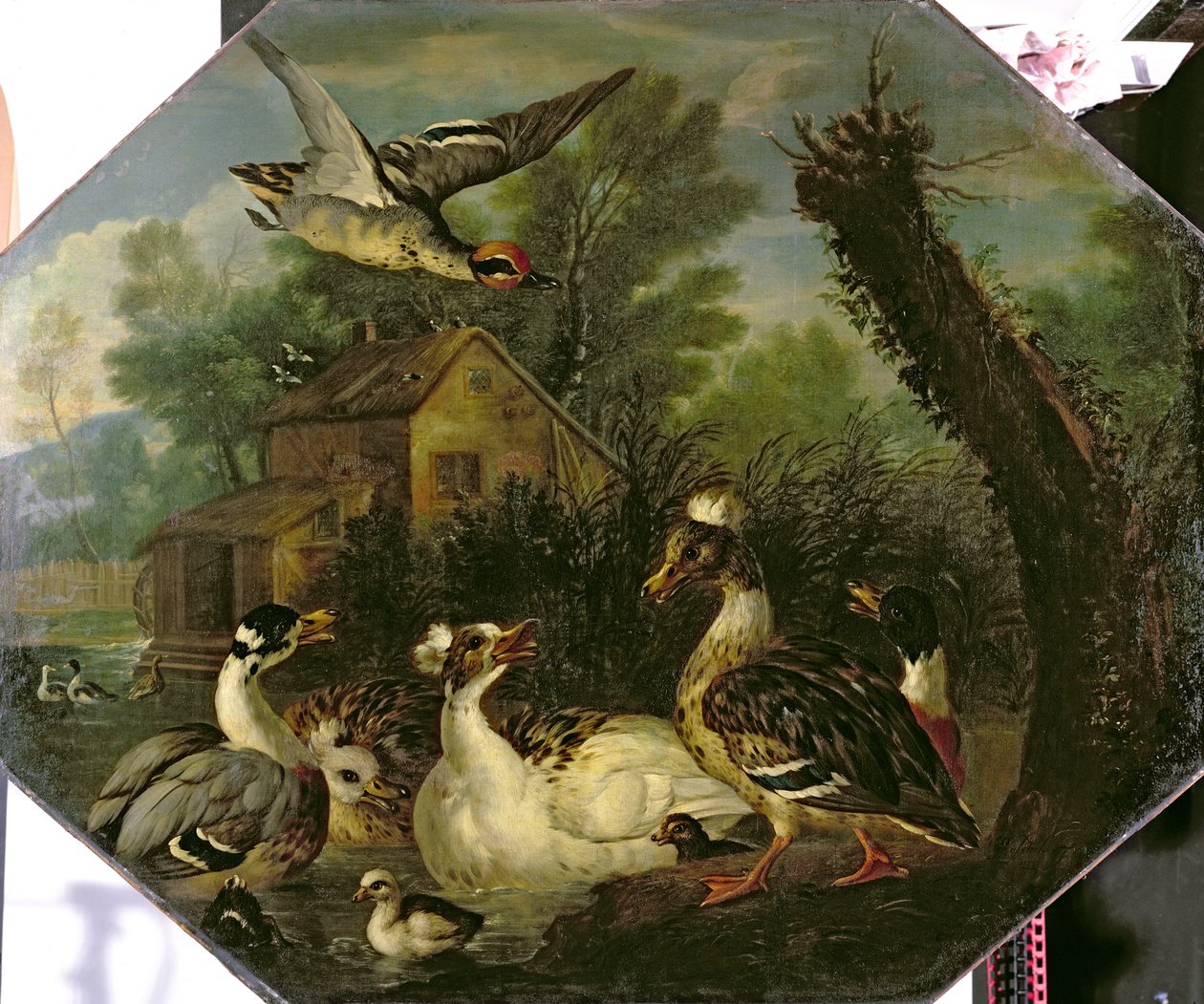 Oiseaux aquatiques ornementaux et leurs canetons sur un étang de moulin - Pieter Casteels