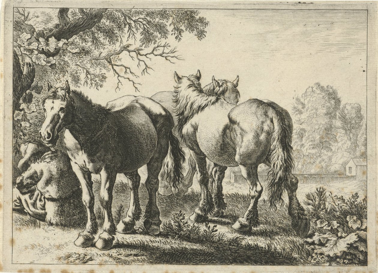 Trois chevaux et un fermier - Pieter Bodding van Laer