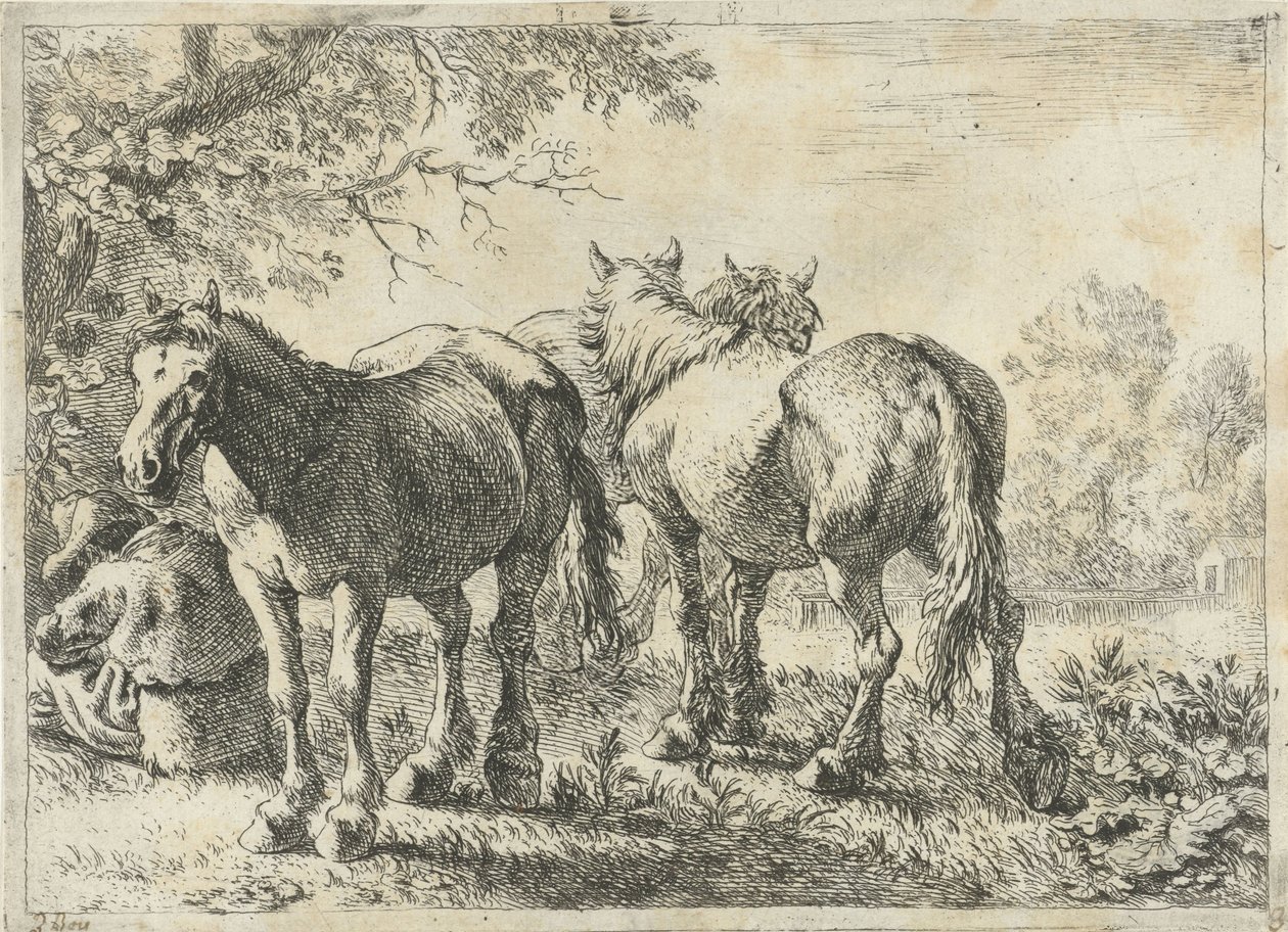 Trois chevaux et un fermier - Pieter Bodding van Laer