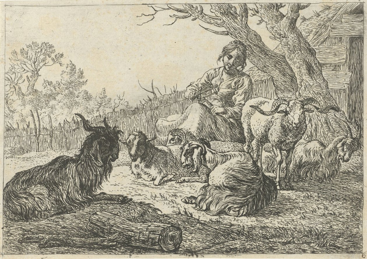 Bergère au milieu de chèvres et de moutons - Pieter Bodding van Laer