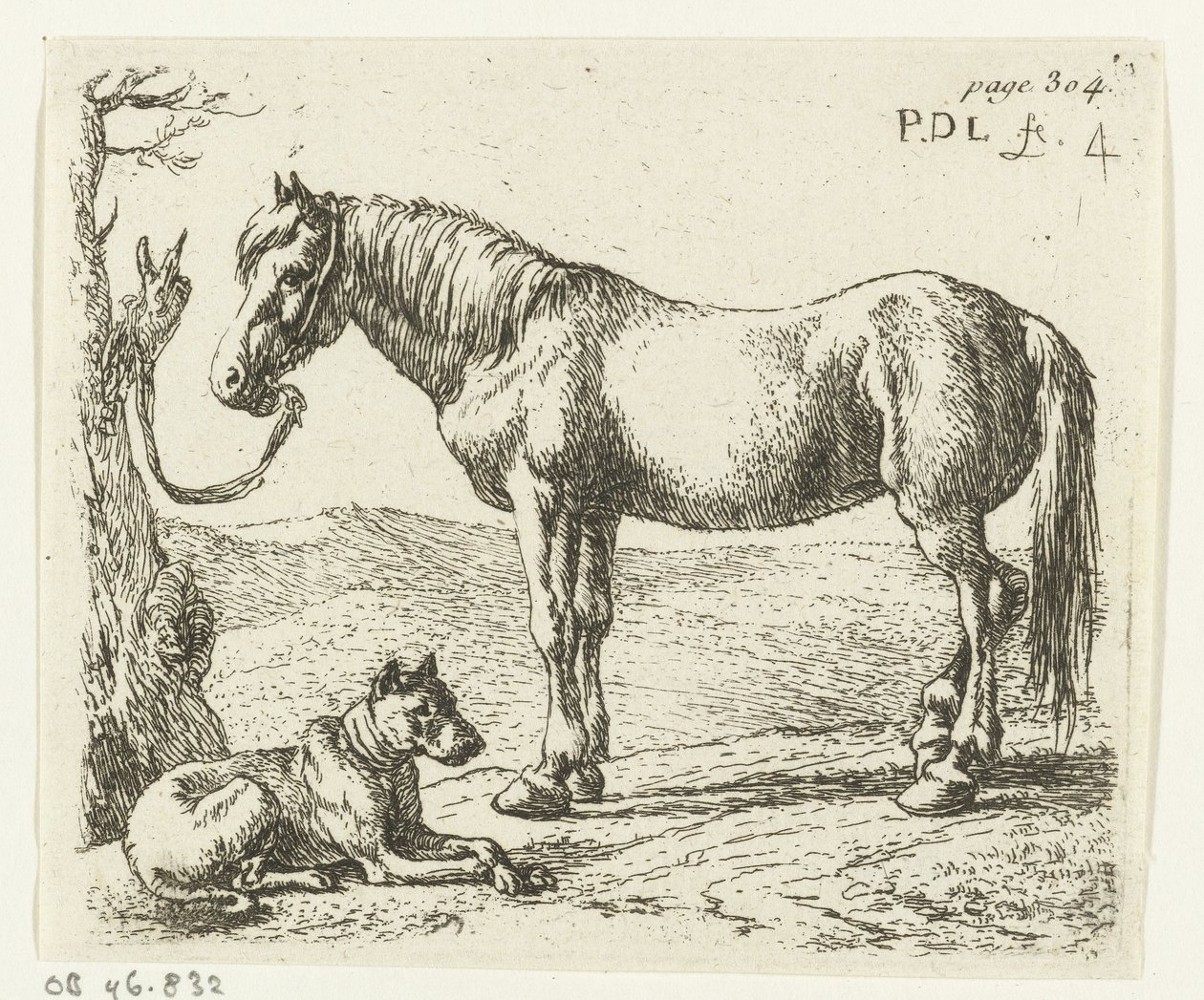 Cheval et chien dans un pré - Pieter Bodding van Laer