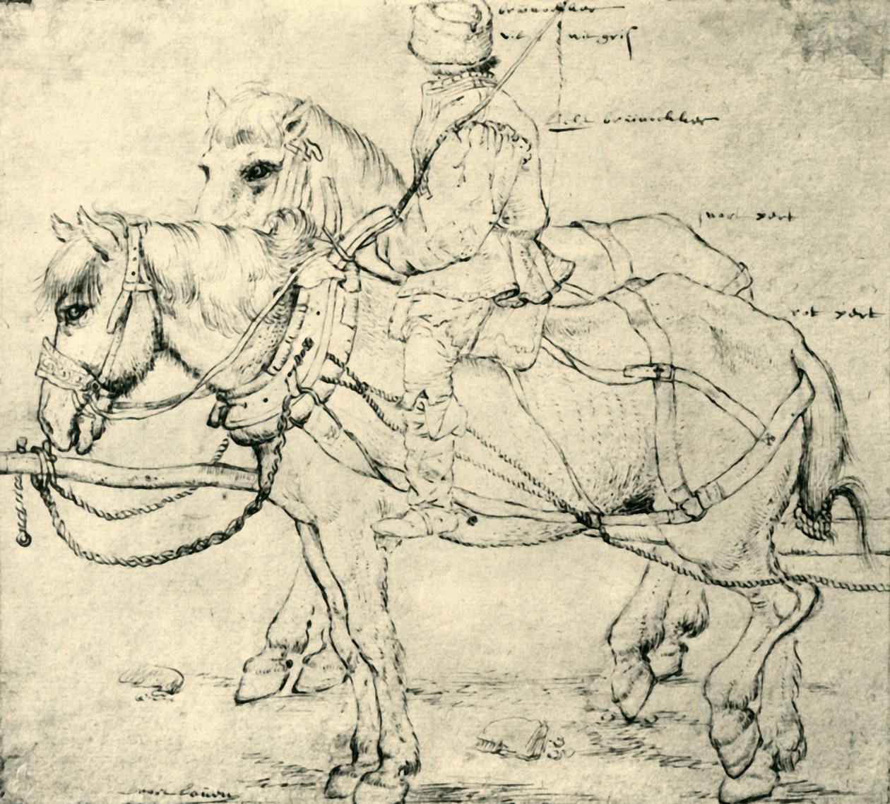 Cavalier et deux chevaux, 1559-1563, 1943 - Pieter Bruegel the Elder
