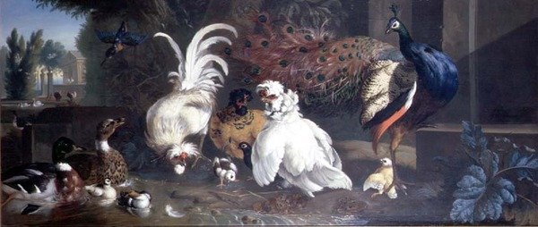 Un Paon, des Poules, des Canards et un Martin-pêcheur - Pieter Casteels