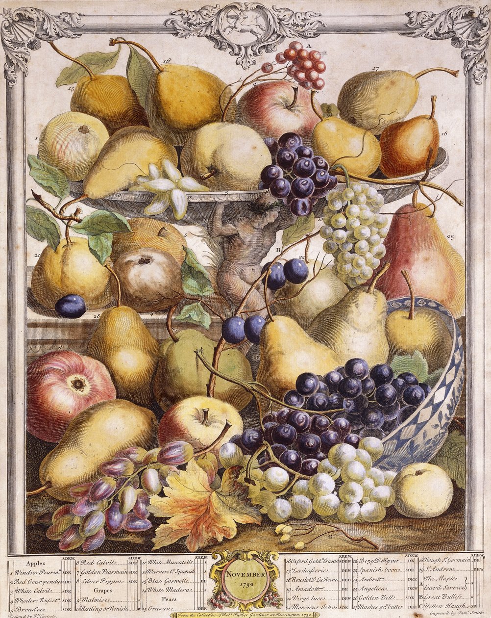 Novembre 1732, montrant des pommes, poires, raisins de saison, etc., 1732 - Pieter Casteels
