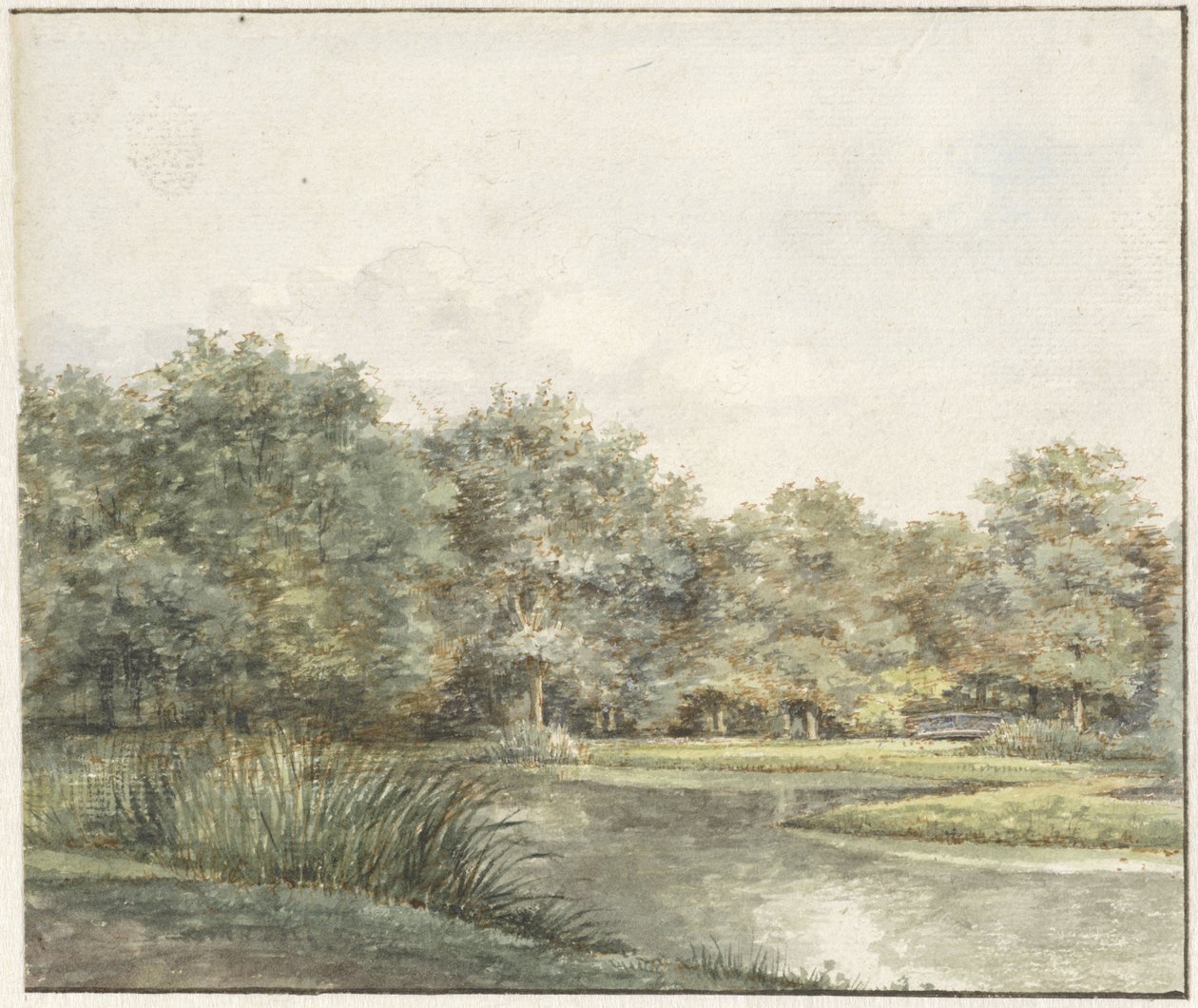 Paysage avec arbres au bord de l