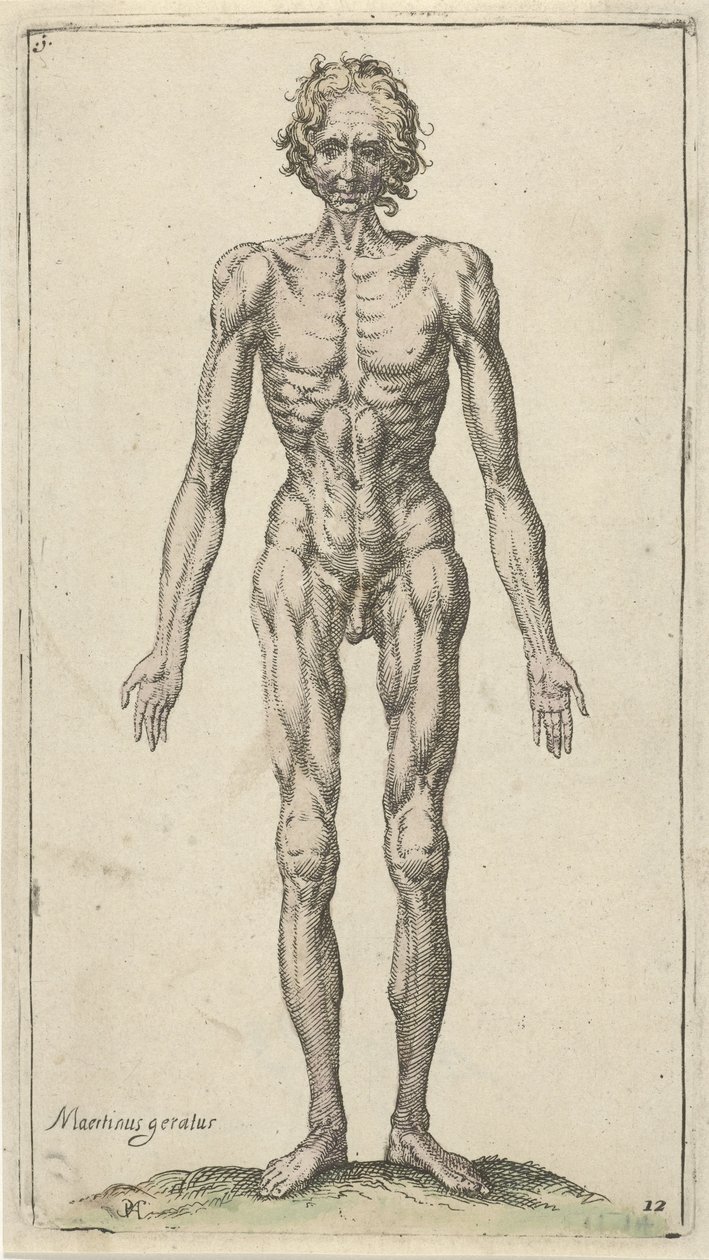 Étude d