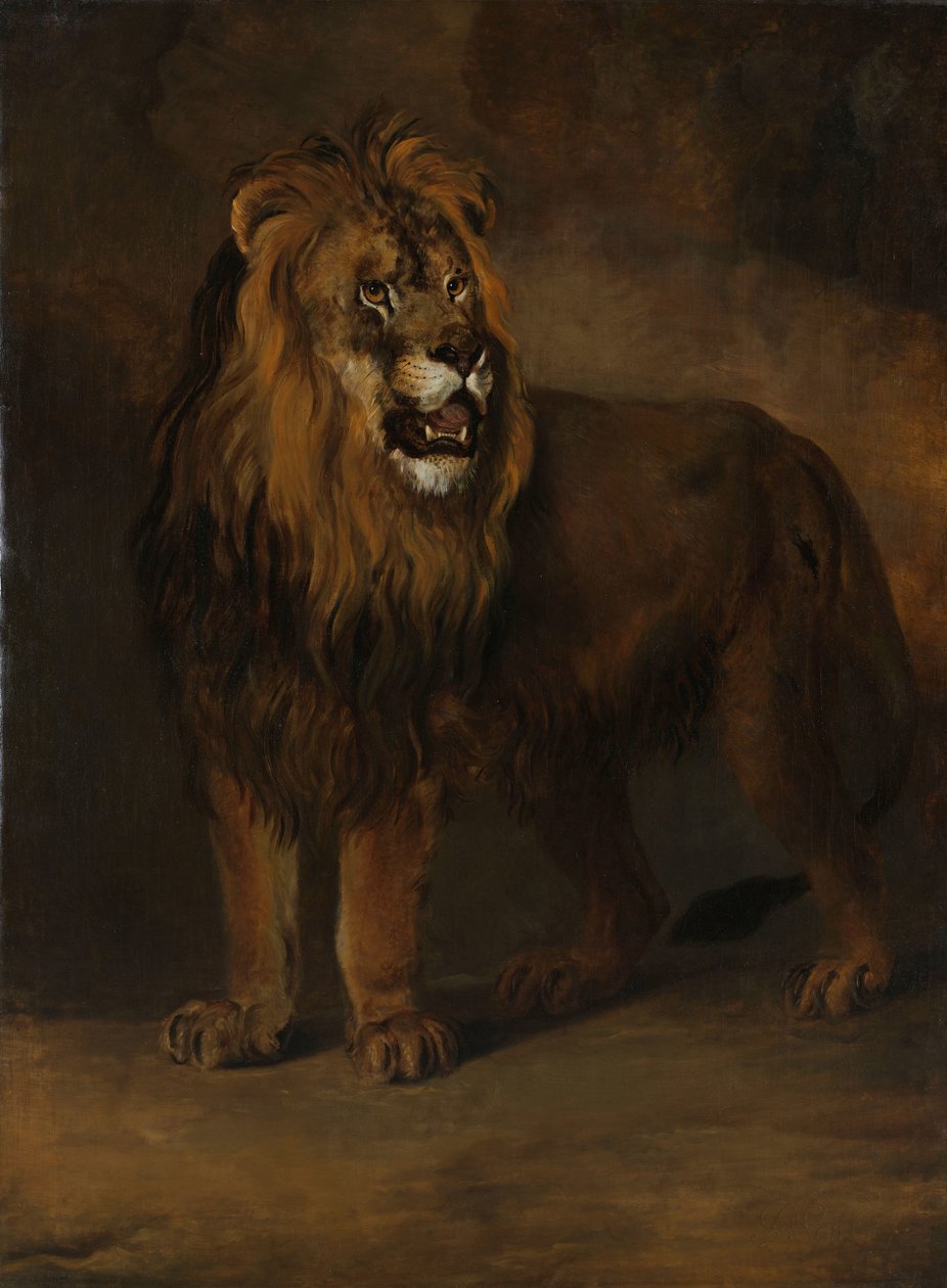 Un lion de la ménagerie du roi Louis Napoléon, 1808 - Pieter Gerardus van Os