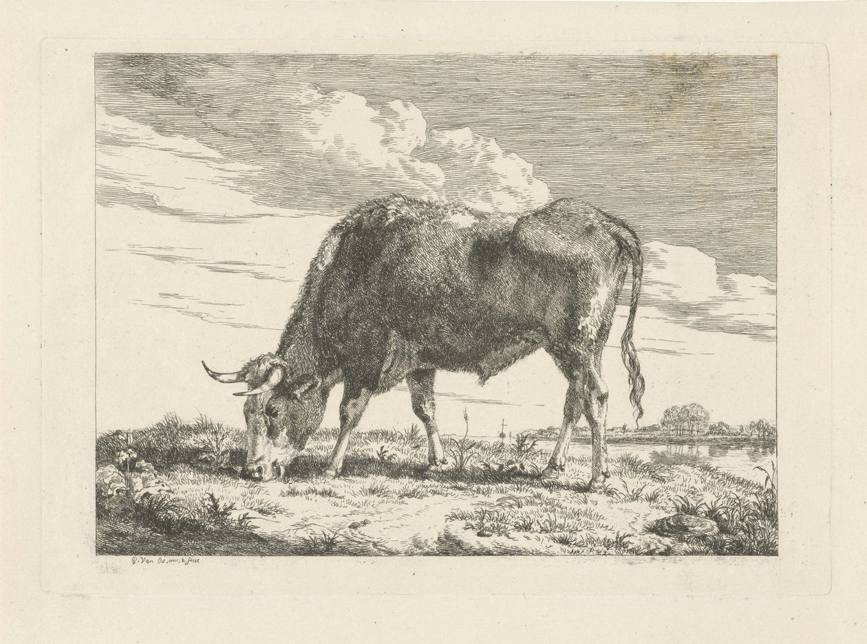 Vache broutant - Pieter Gerardus van Os