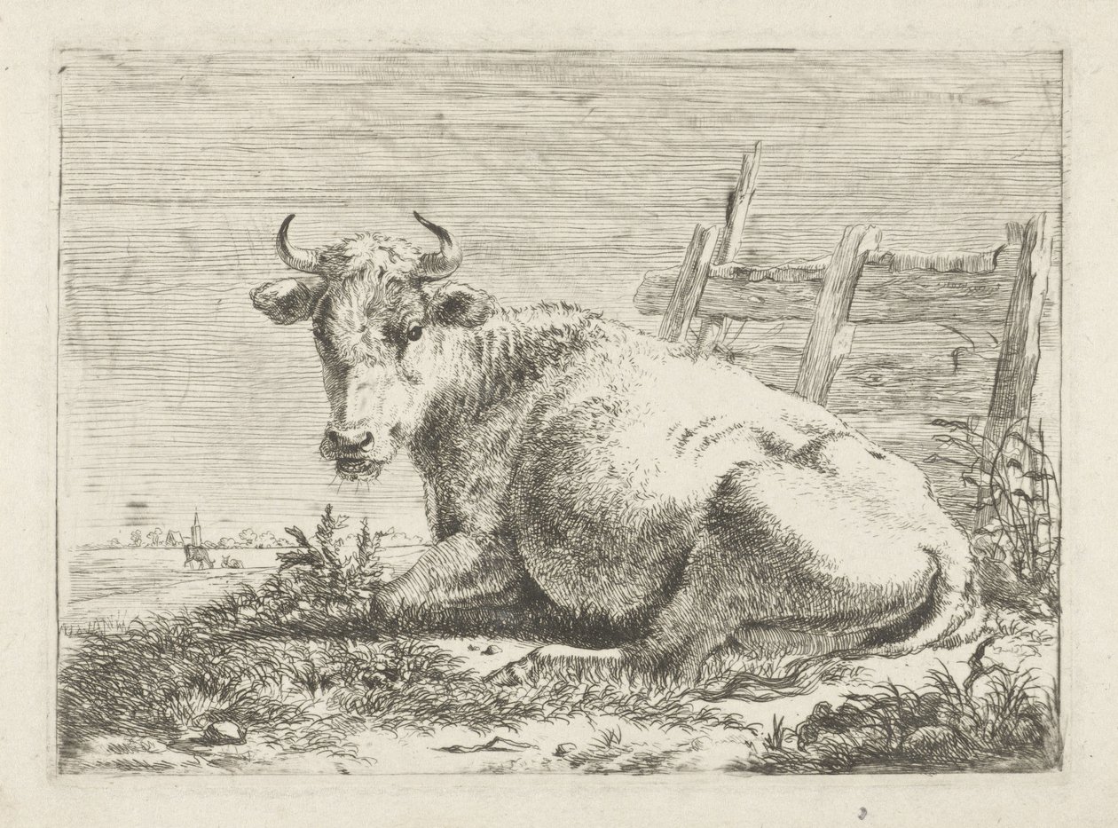 Vache couchée près d