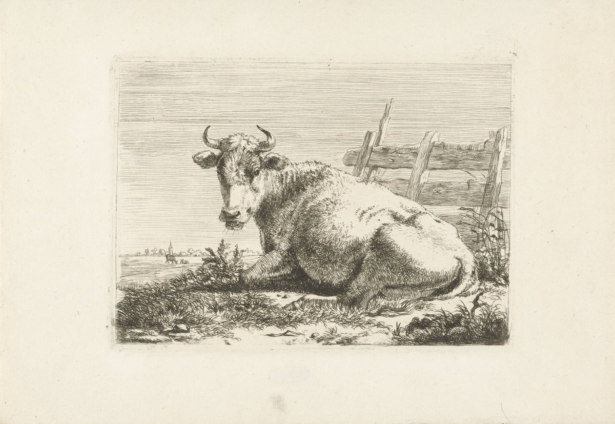 Vache couchée près d