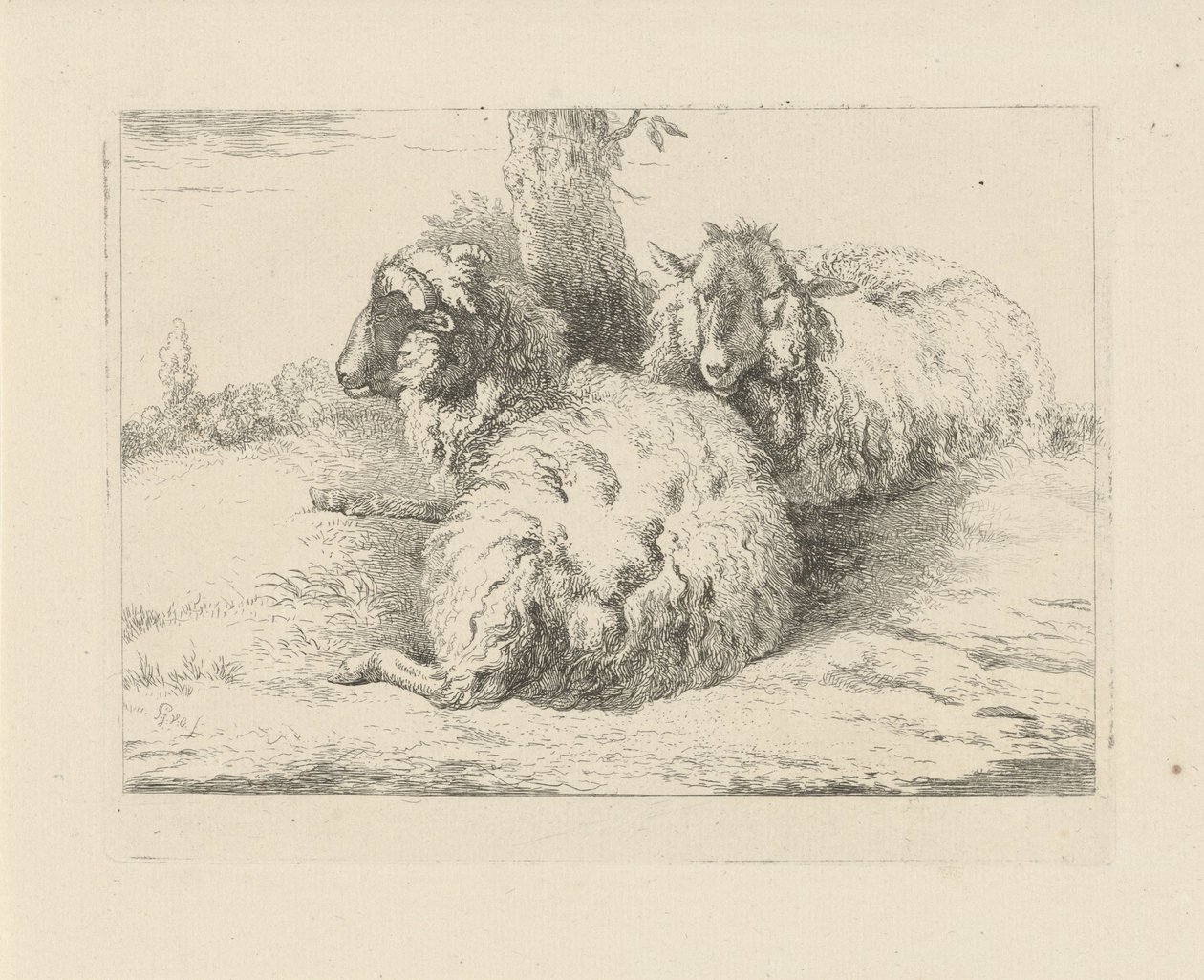 Moutons couchés - Pieter Gerardus van Os