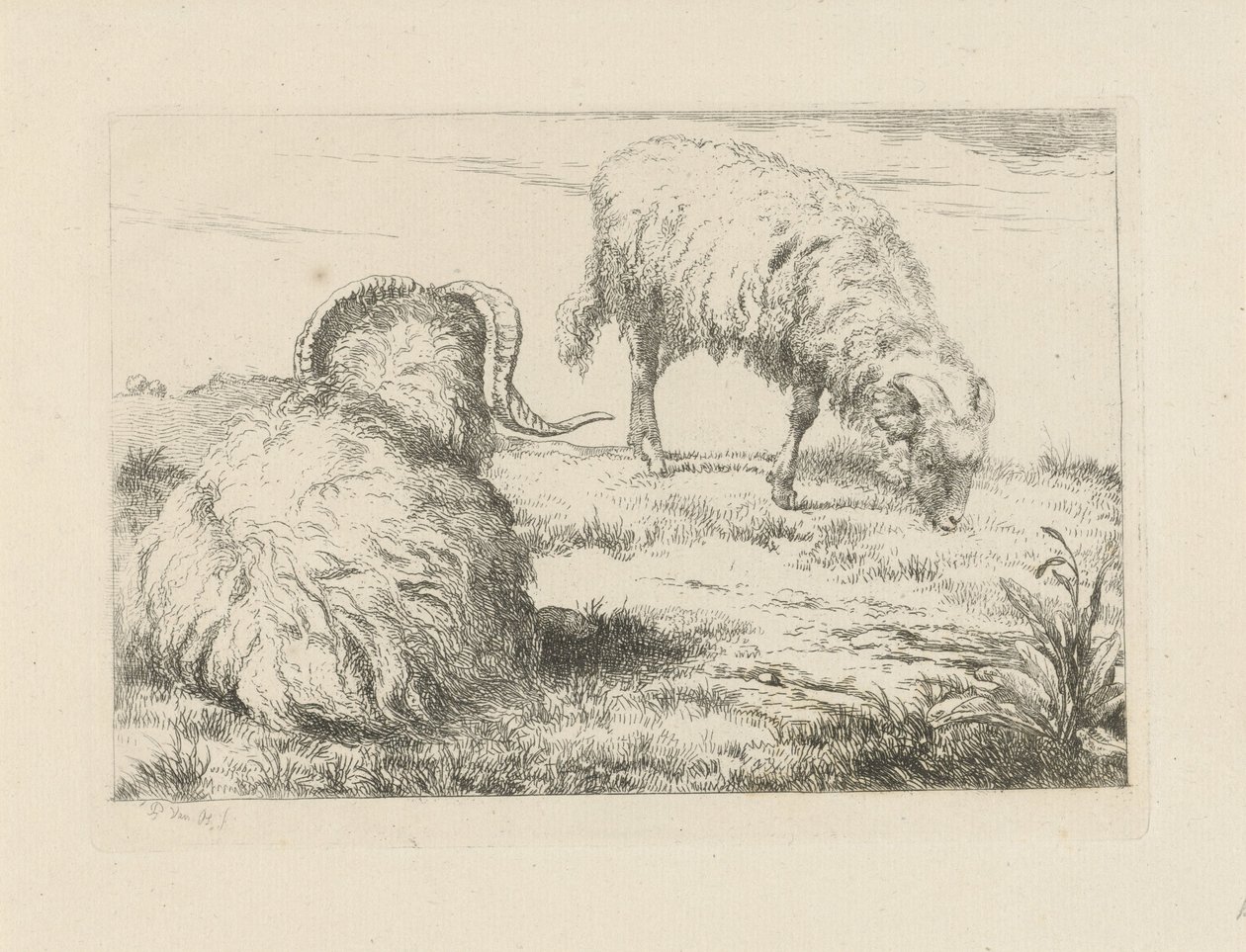 Deux béliers dans le pré - Pieter Gerardus van Os