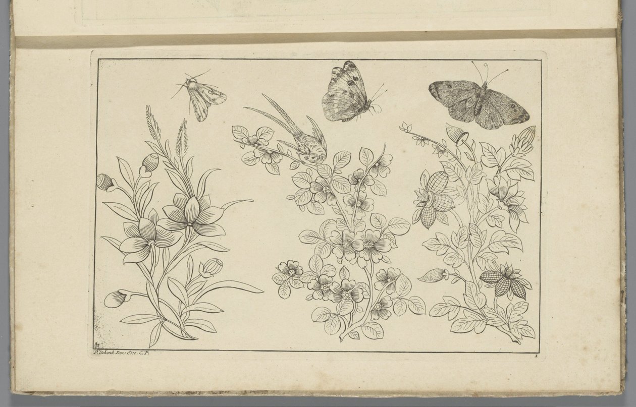 Trois branches de fleurs et trois papillons (Fleurs et insectes chinois) - Pieter Schenk (II)