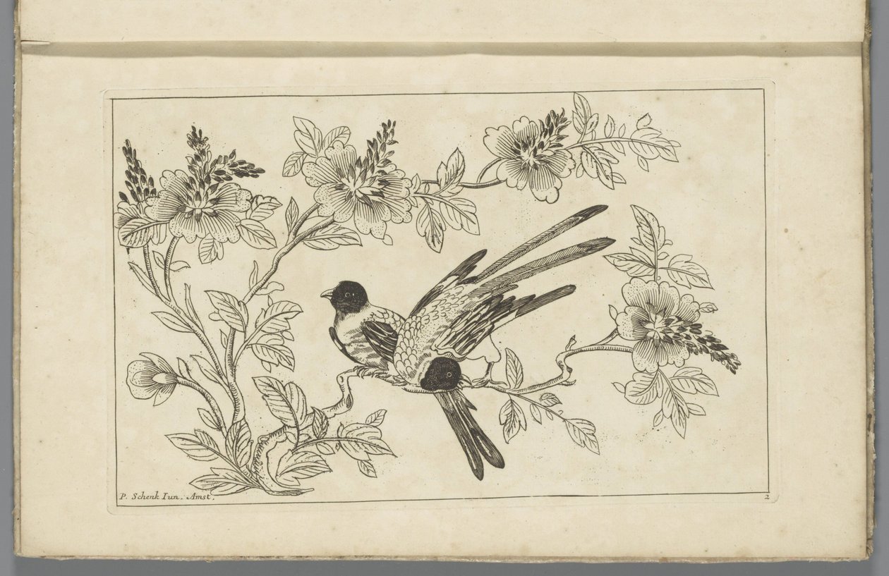 Deux oiseaux sur une branche fleurie - Pieter Schenk (II)