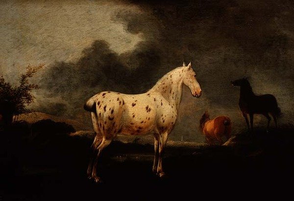 Paysage avec un cheval gris pommelé, c.1670 - Pieter Wouwermans or Wouwerman