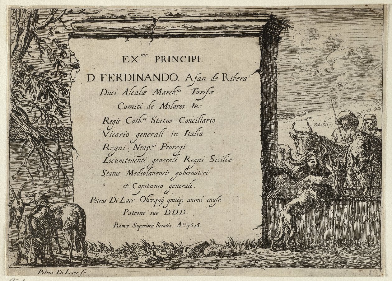 Taureau, vache, cheval et âne près d