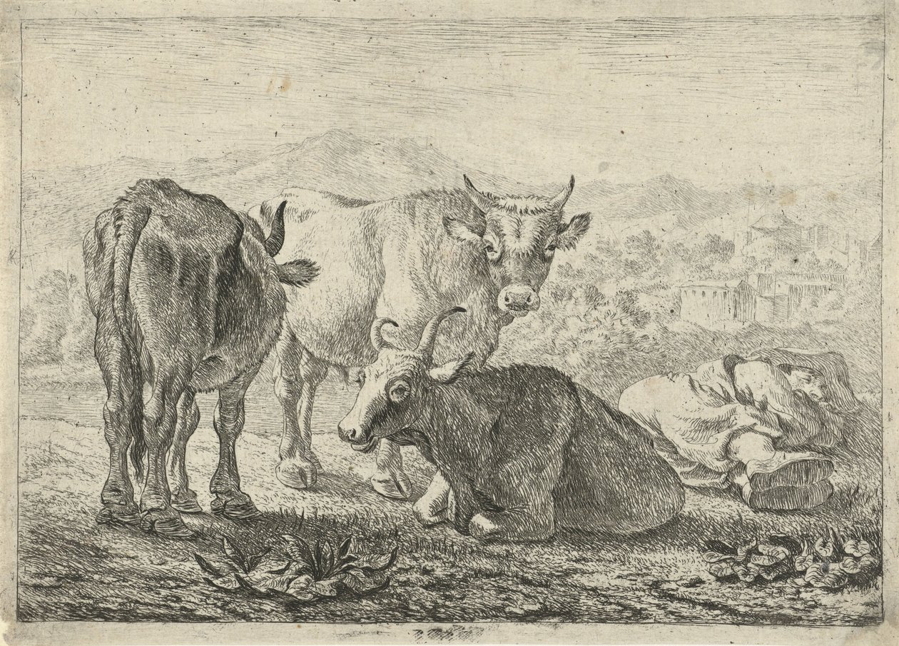 Allemand : Drei Rinder und ein schlafender Hirte
Français : Les boeufs
Trois bovins et un berger endormi - Pieter van Laer