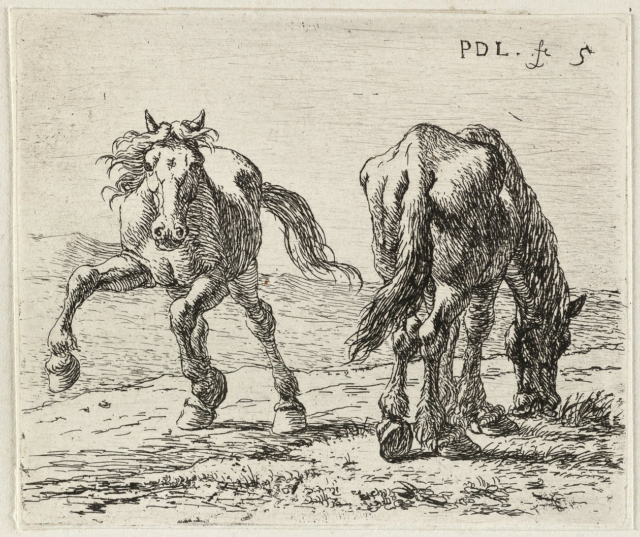 Allemand : Zwei Pferde auf einer Weide
Français : Les deux chevaux au pâturage
Deux chevaux au pâturage - Pieter van Laer