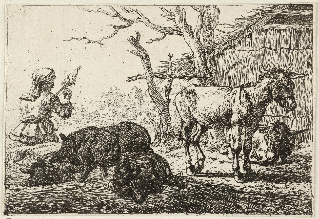 Porcs et ânes dans une étable, à gauche une fileuse - Pieter van Laer