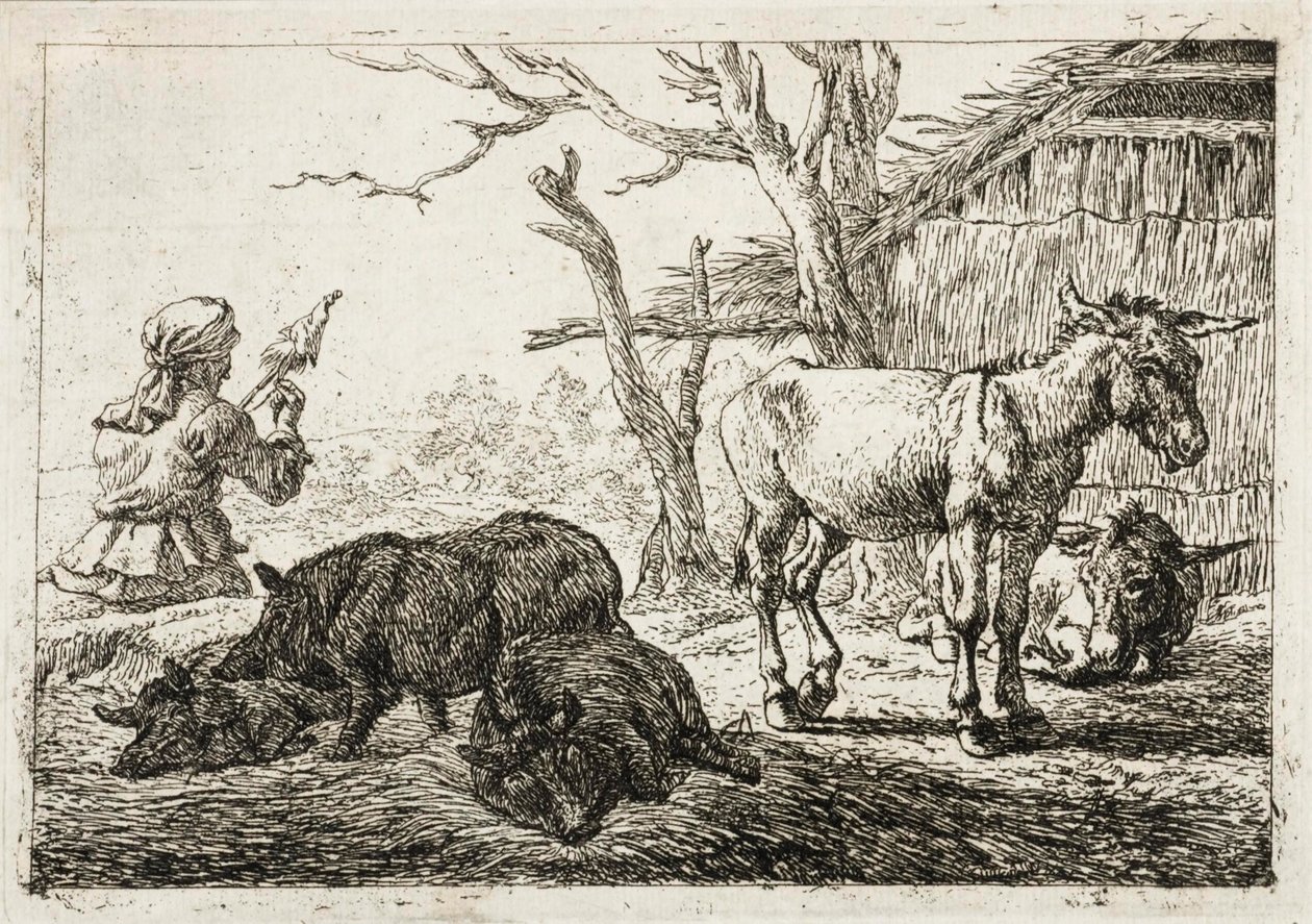 Porcs et ânes dans une étable, à gauche une fileuse - Pieter van Laer