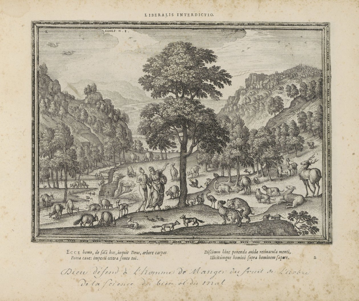 Dieu montre le paradis à Adam - Pieter van der Borcht (I)