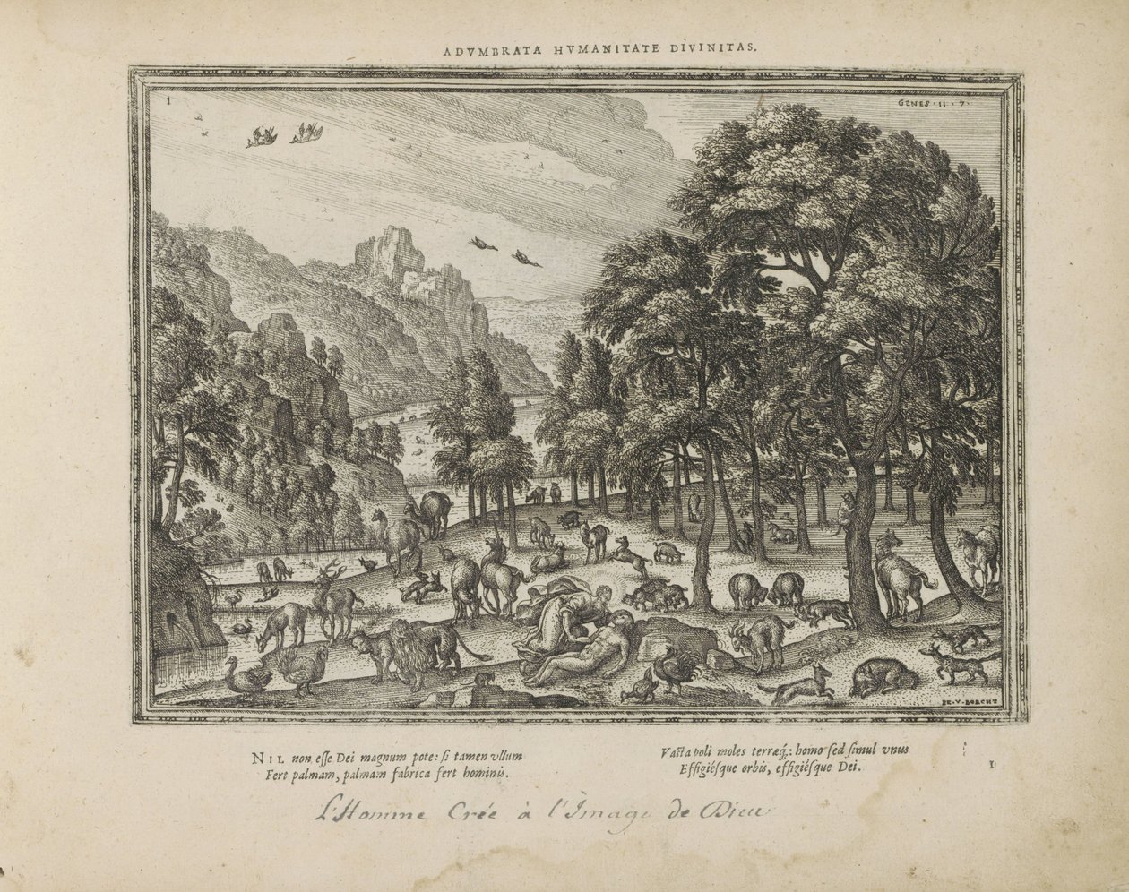 Création de l