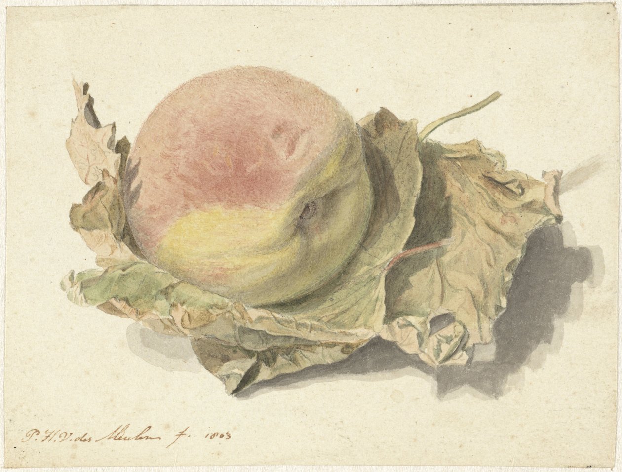 Pêche sur deux feuilles - Pieter van der Meulen