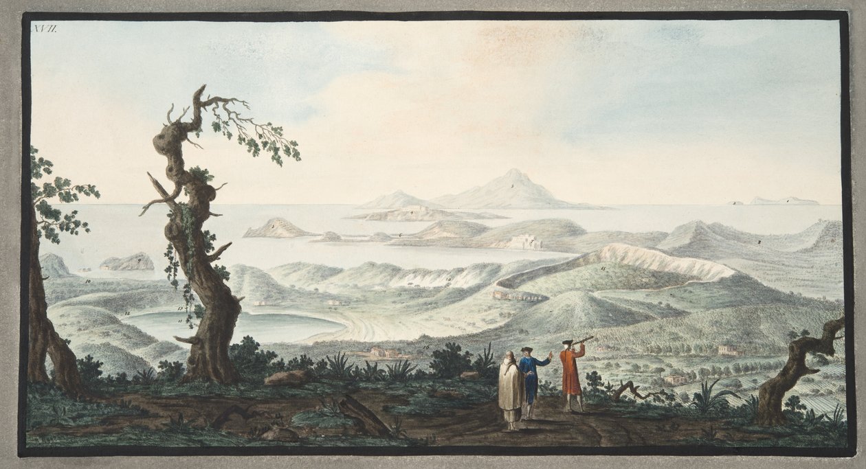 Vue à vol d