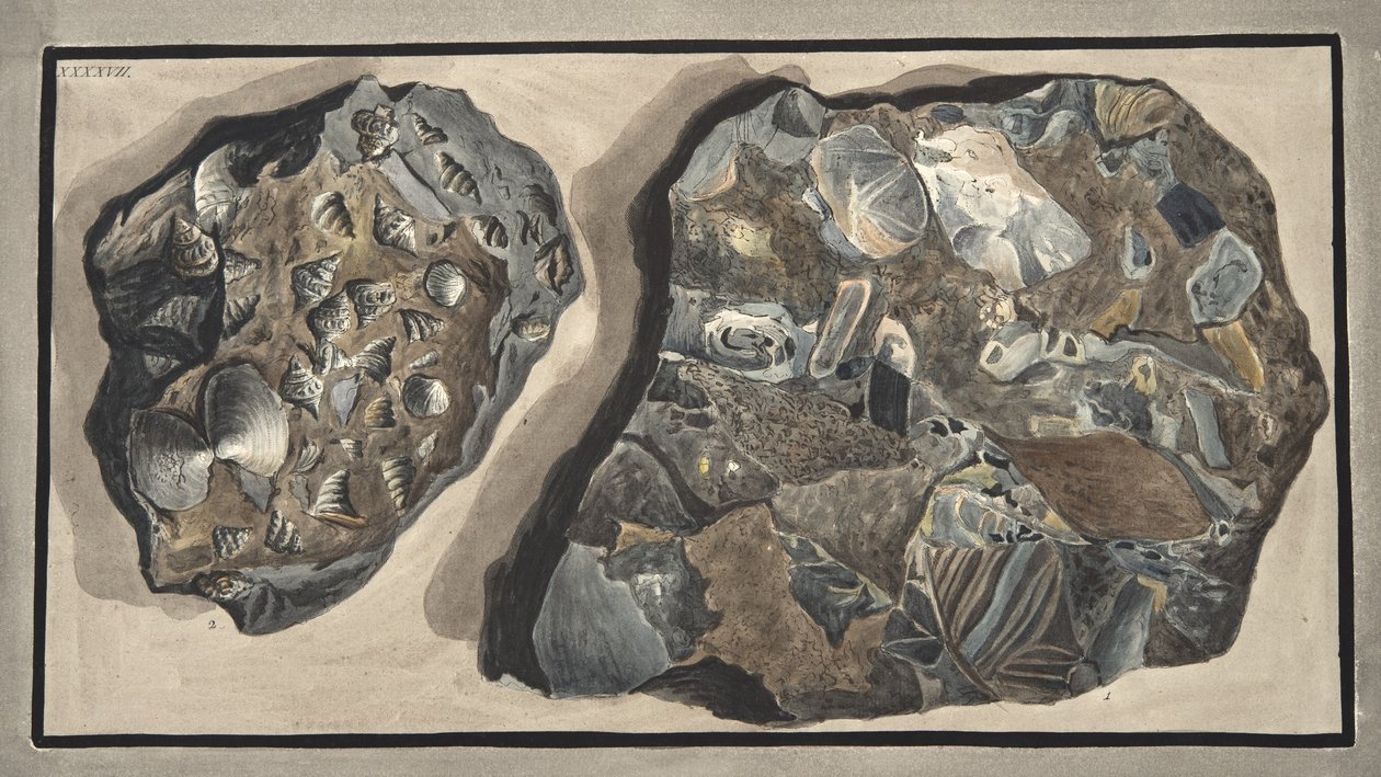 Morceau de marbre composé de fragments de divers types de marbre trouvés dans la Fossa Grande, planche XXXXVII : de 