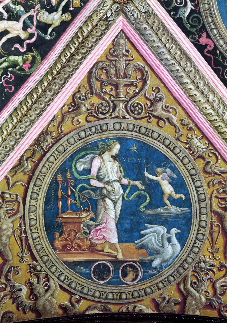 Vénus, de la Sala dell
