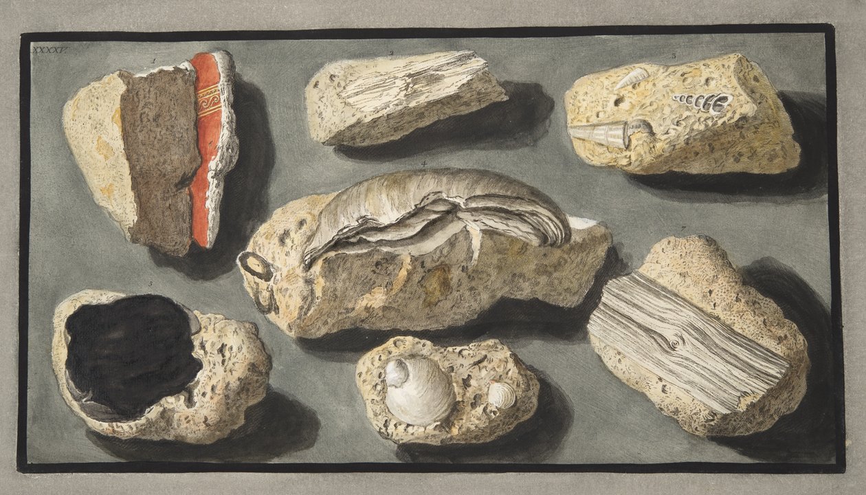 Spécimens de tuf trouvés dans et autour d