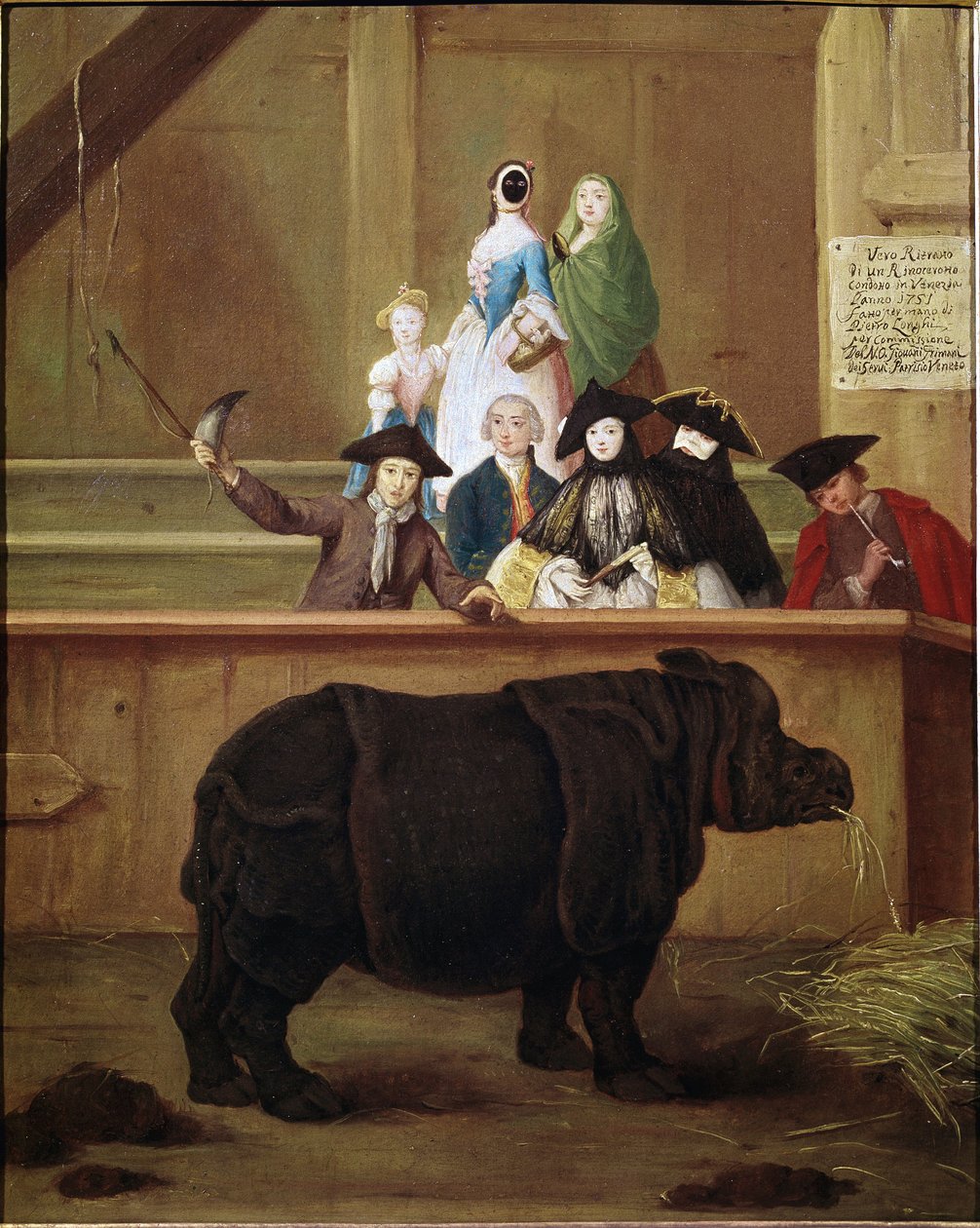 Rhinocéros: exposition de Clara, rhinocéros indien - Pietro Longhi