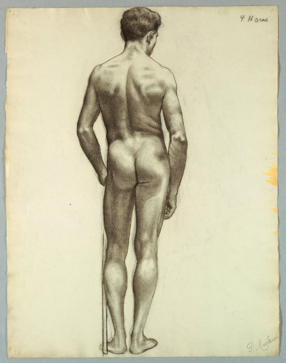 Nu masculin debout vu de dos - Pietro Montana